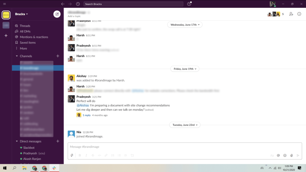 Slack Interface used by Brucira team